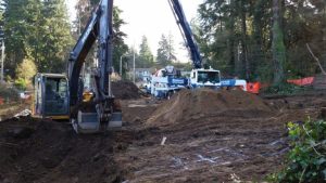 earthwork-1
